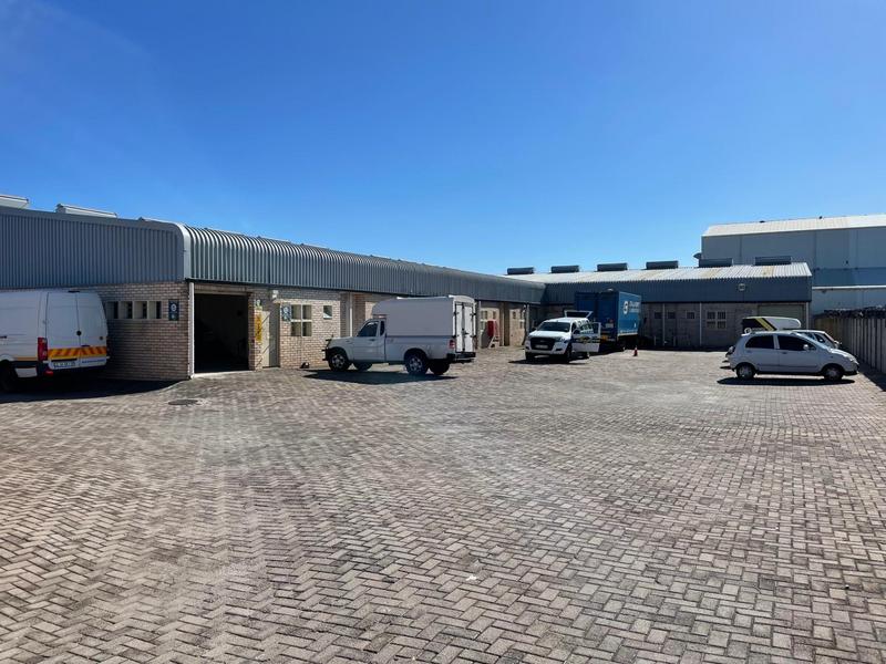 To Let commercial Property for Rent in Walmer Eastern Cape